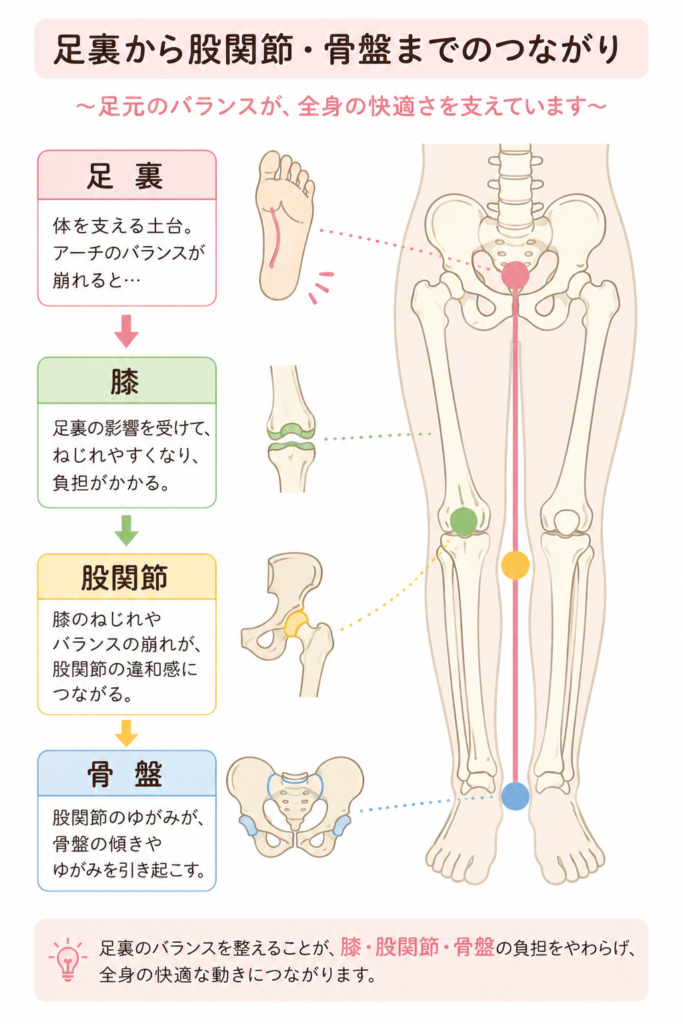足裏から膝・股関節・骨盤へつながる体のバランスの図